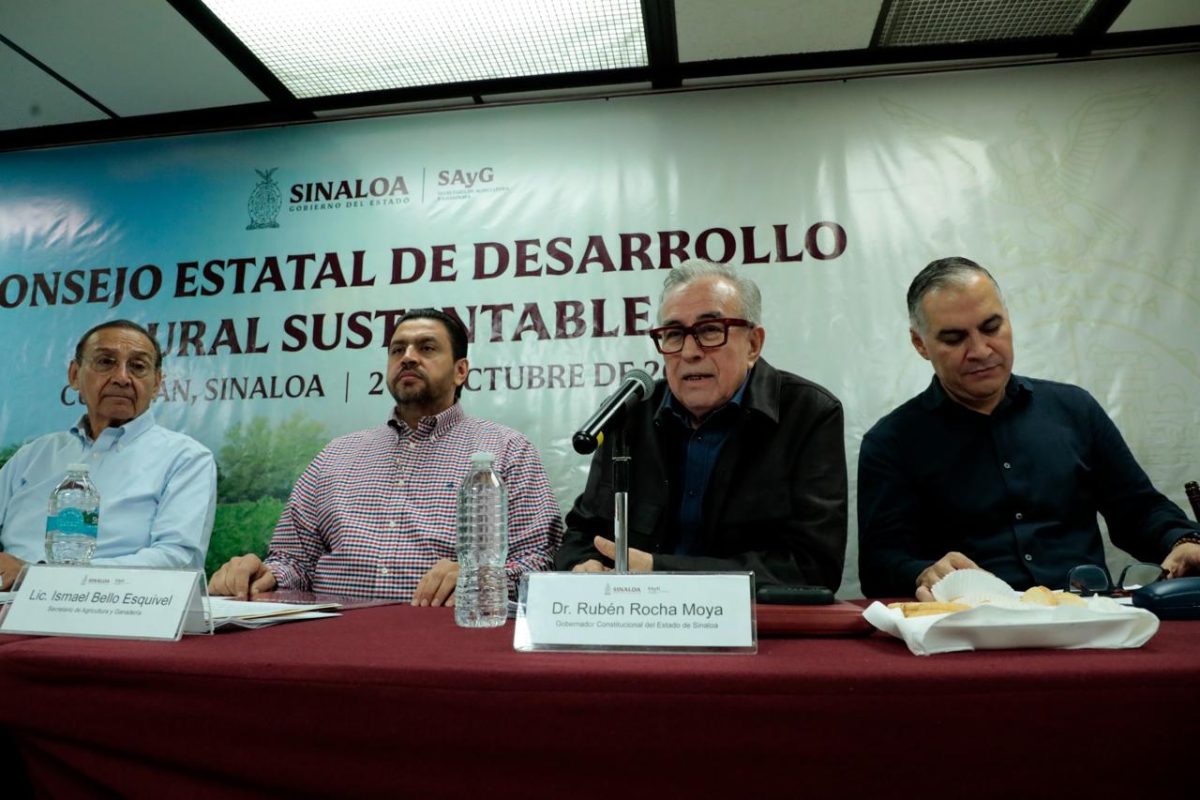 Acuerda Consejo Estatal de Desarrollo Rural plan tentativo de siembras para el ciclo O-I 2024/2025