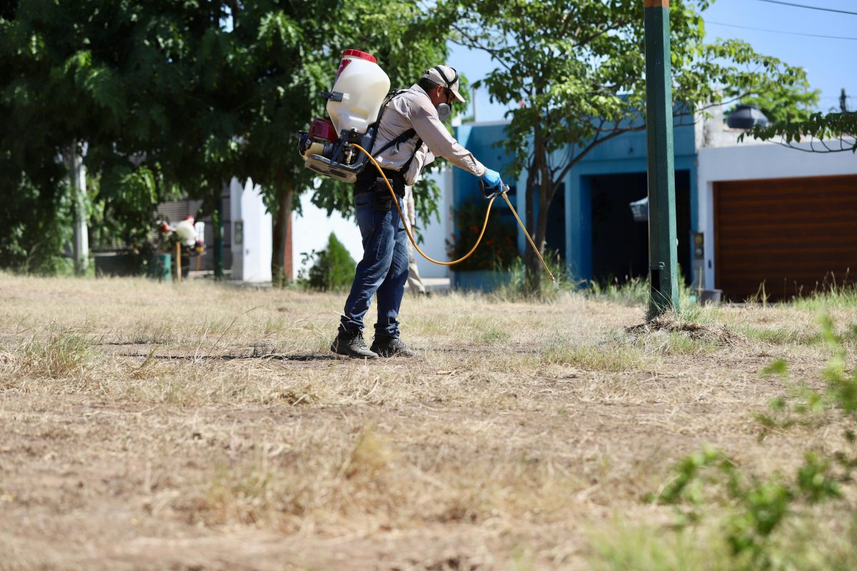 Secretaría de Salud redobla esfuerzos para contener casos de dengue