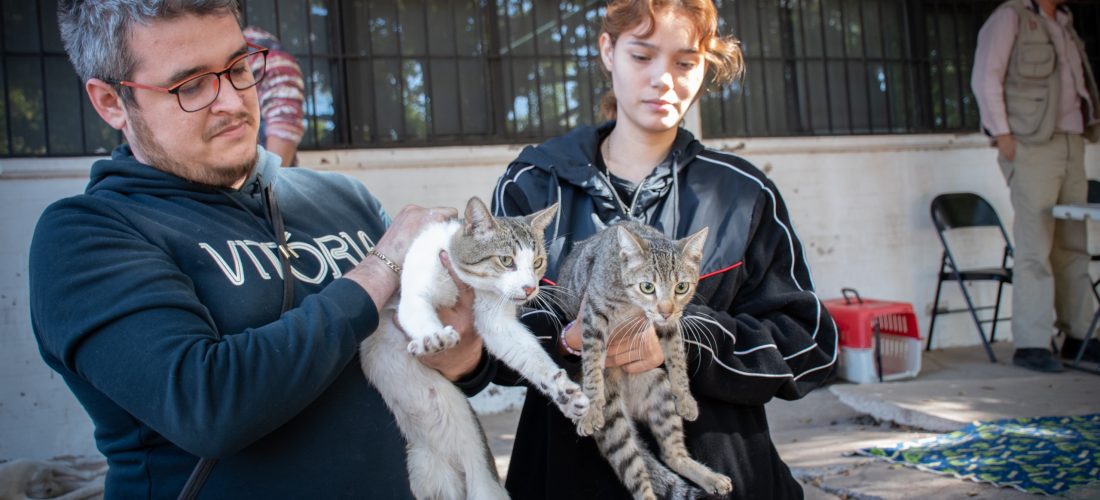 Inicia Campaña Gratuita de Esterilización de Mascotas en la colonia El Vallado