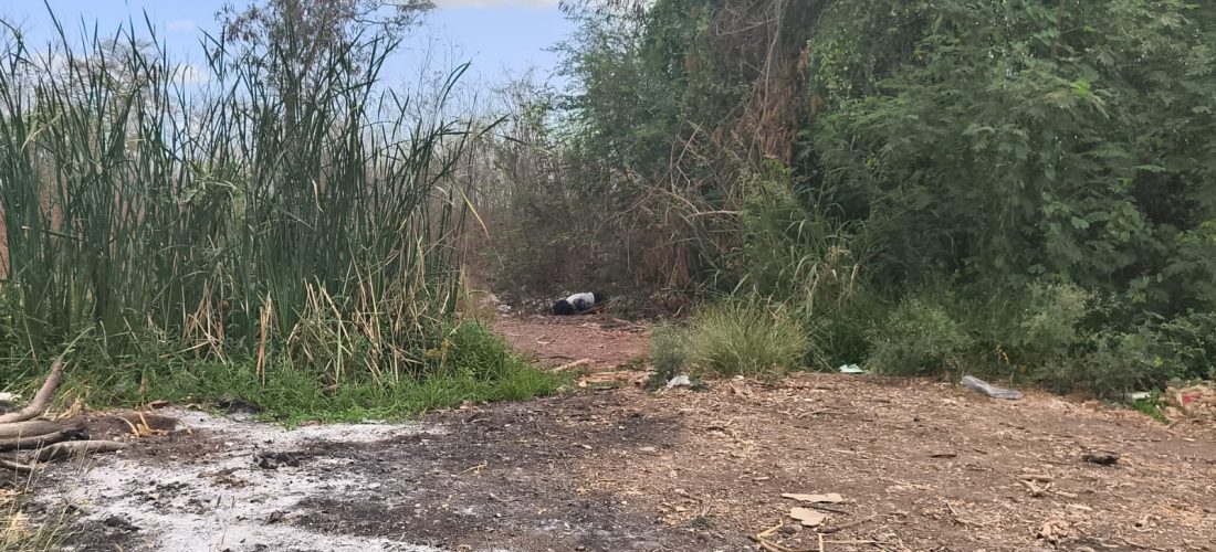 Encuentra una mujer sin vida en las cercanías del rancho el pajarito