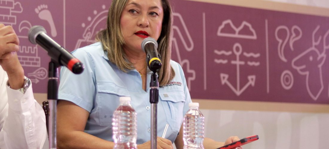 Autoridades detienen a 6 civiles, aseguran armamento y 14 vehículos en diversas acciones