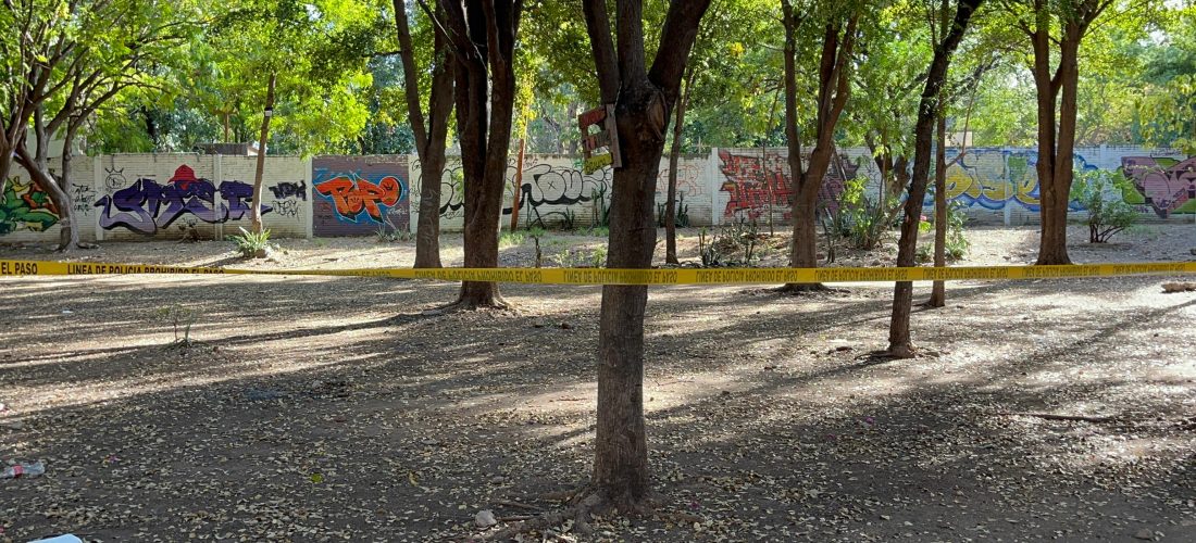ASESINAN A ADOLESCENTE DE 15 AÑOS EN PARQUE DE LA COLONIA UAS
