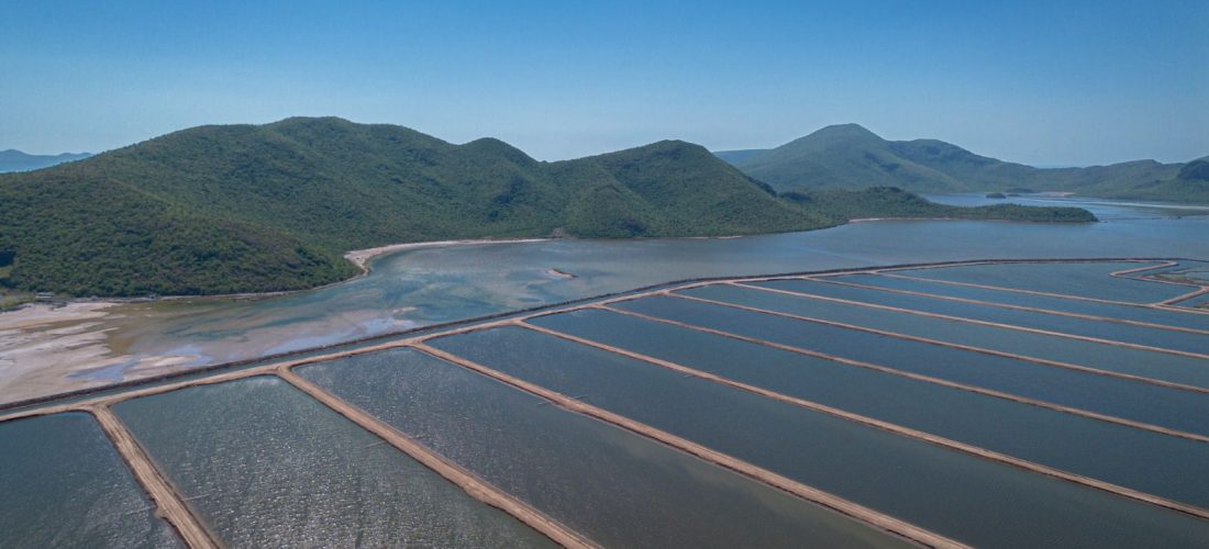Publican acuerdo para permisos de siembra y notificación de cosecha en unidades acuícolas de Sinaloa