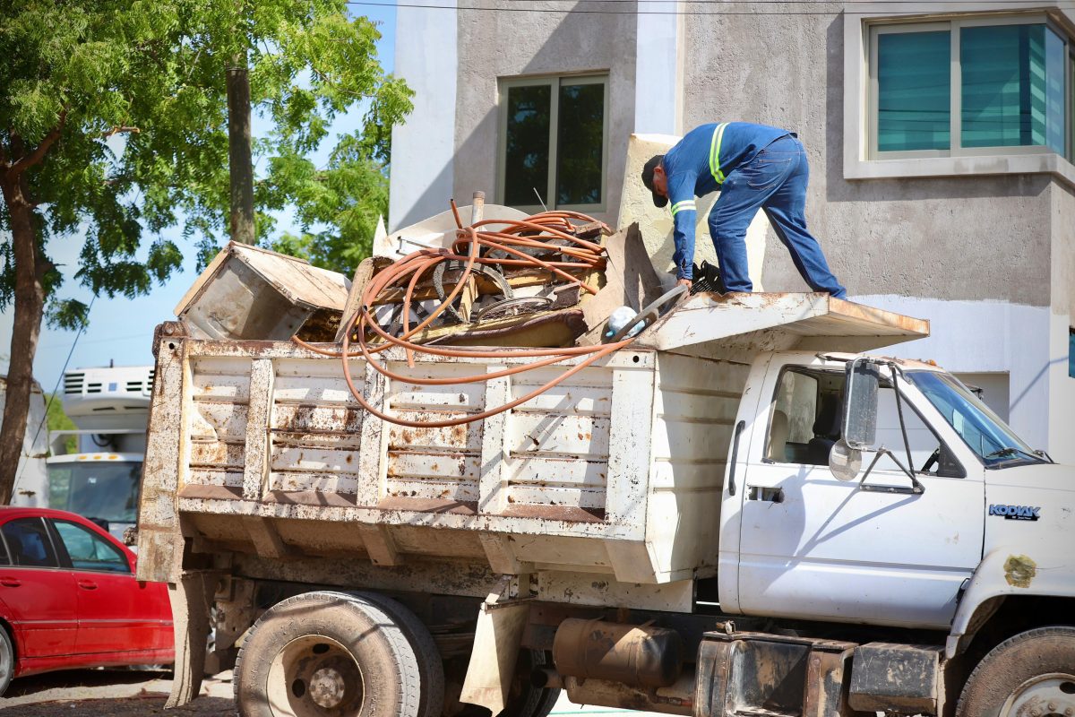 Exhorta Secretaría de Salud a no bajar la guardia contra el dengue en Semana Santa