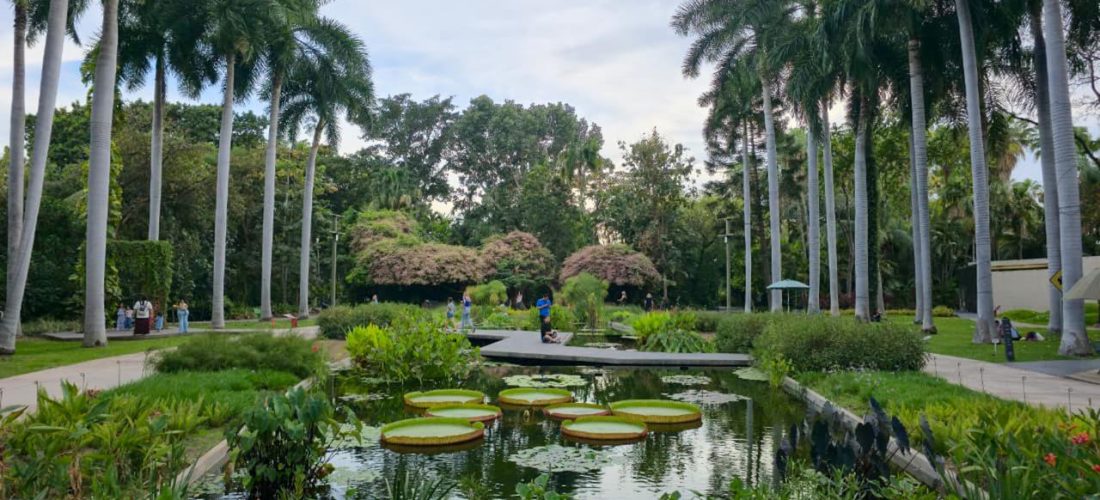 Gobierno estatal refuerza acciones para mejorar el Jardín Botánico y el Parque Ecológico de Culiacán
