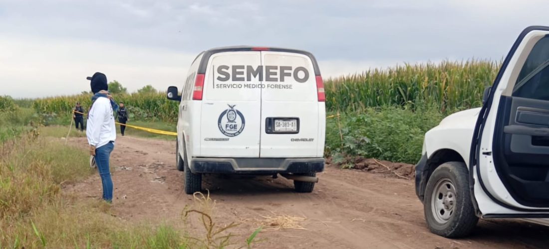 Localizan cuerpo en descomposición en Navolato; podría ser joven desaparecido