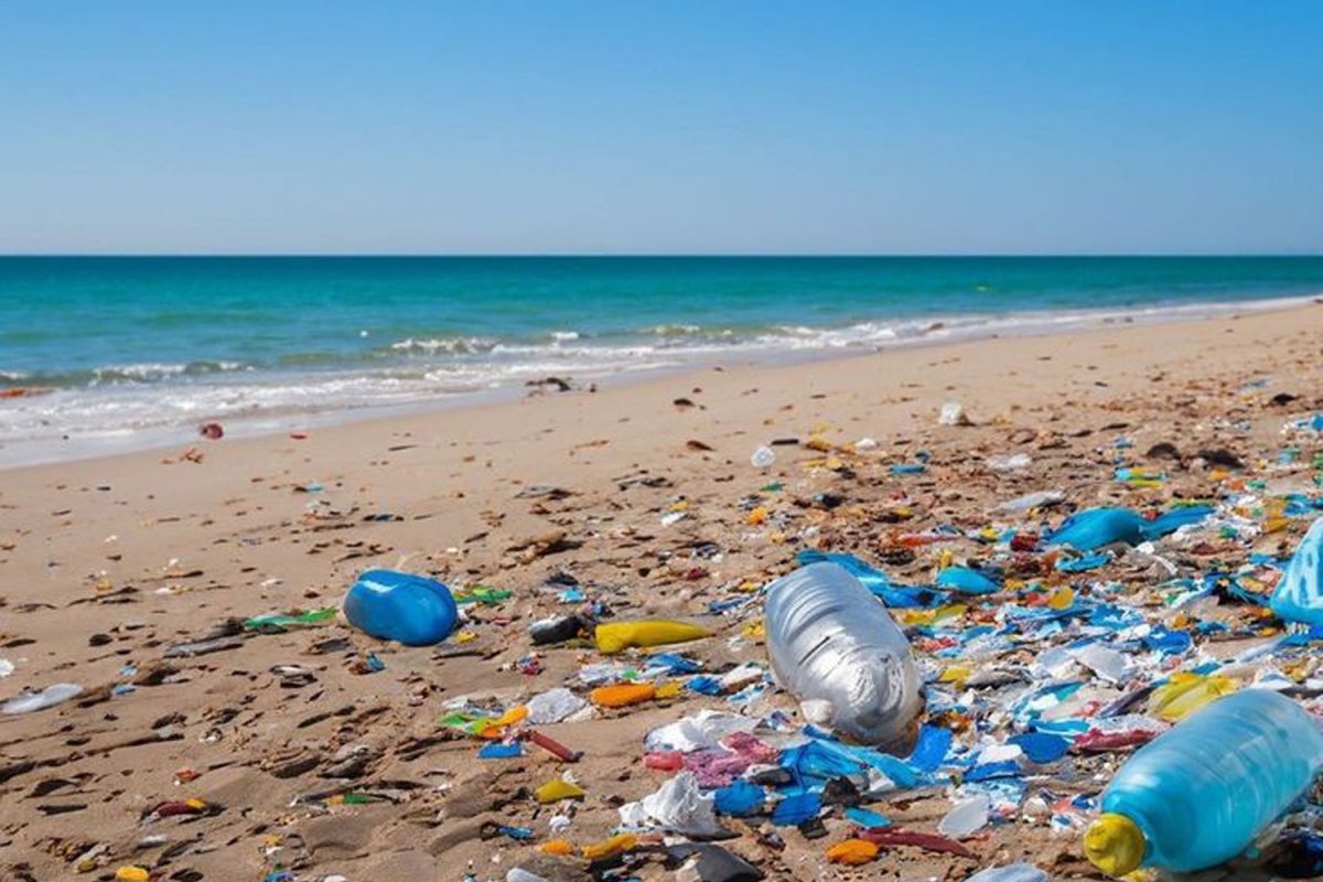 Post-Semana Santa: Contaminación por plástico aumenta un 70% en playas, advierte especialista; analiza el impacto ambiental tras el periodo vacacional