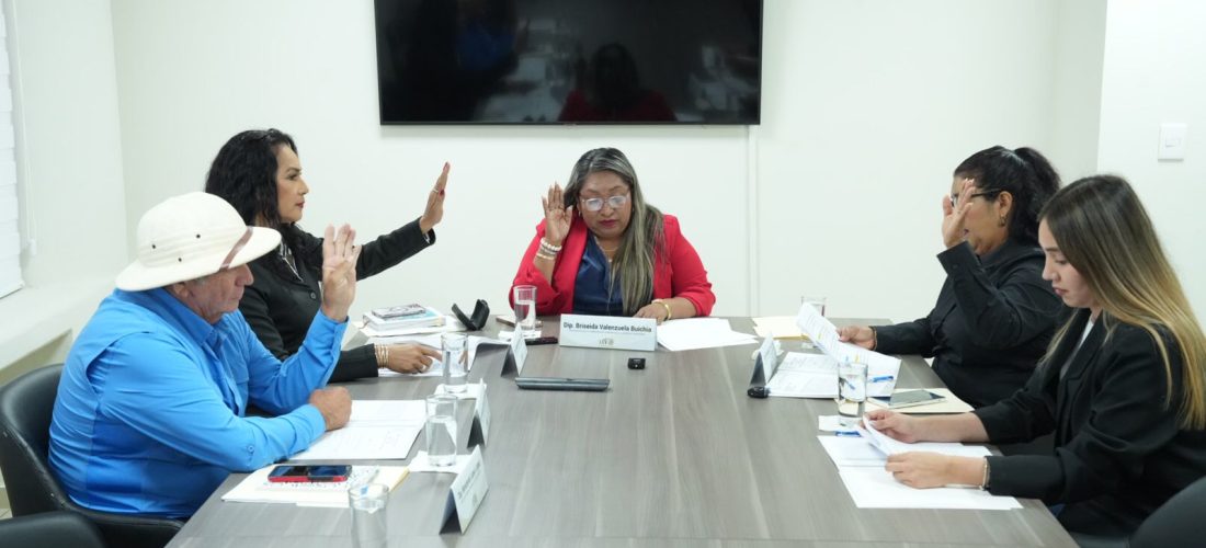 Comisión de Las Comunidades y Asuntos Indígenas analiza iniciativas y trabajo en territorio