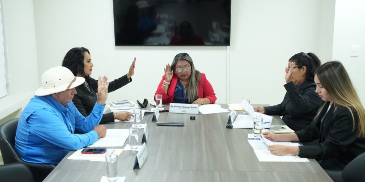 Comisión de Las Comunidades y Asuntos Indígenas analiza iniciativas y trabajo en territorio