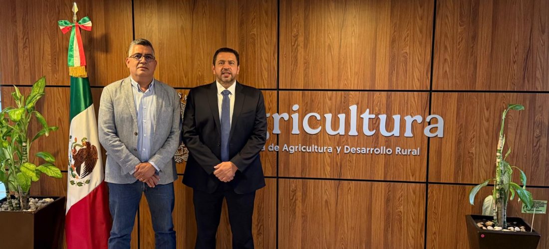 Reanuda SADER pagos pendientes del apoyo federal extraordinario a productores de la cosecha de maíz 2023-2024: Ismael Bello Esquivel
